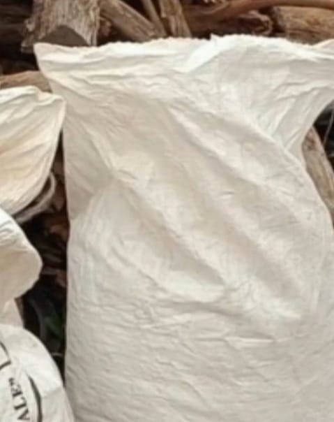 WhatsApp Image 2025-06-20 at 4.41.44 PM