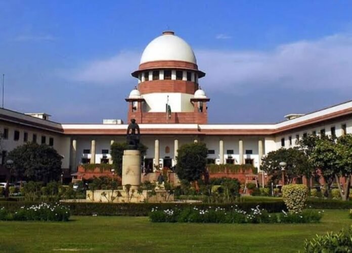 Screenshot_20250808-134246_Google