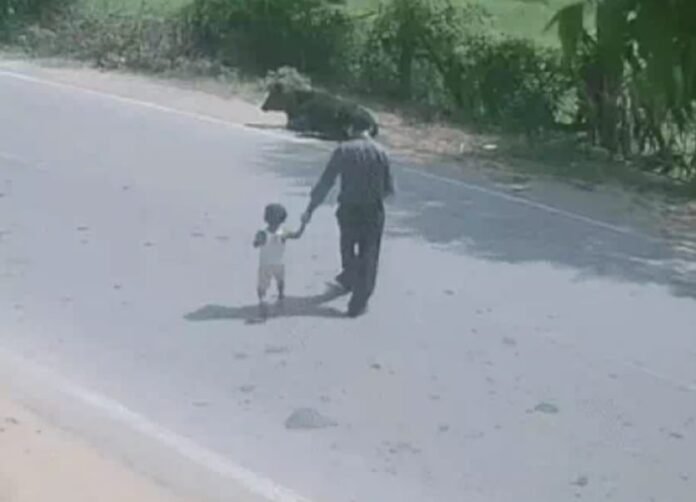 WhatsApp Image 2025-08-13 at 1.27.03 PM